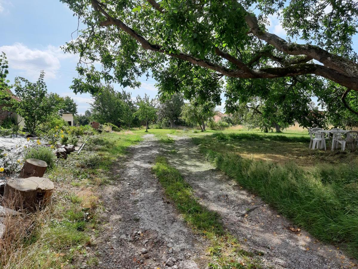 Penzion Le Domaine Des Anges Wavrans-sur-l'Aa Exteriér fotografie