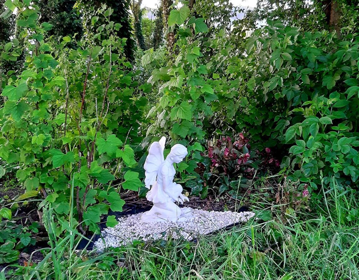 Penzion Le Domaine Des Anges Wavrans-sur-l'Aa Exteriér fotografie