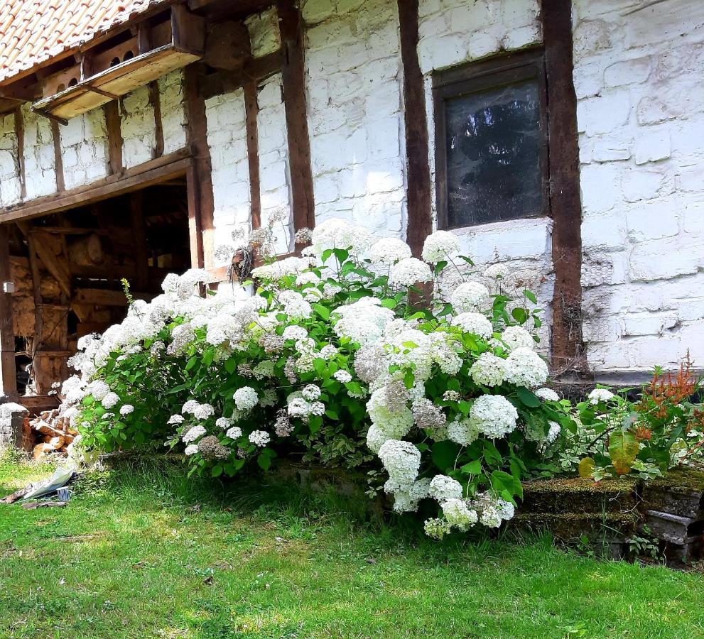 Penzion Le Domaine Des Anges Wavrans-sur-l'Aa Exteriér fotografie