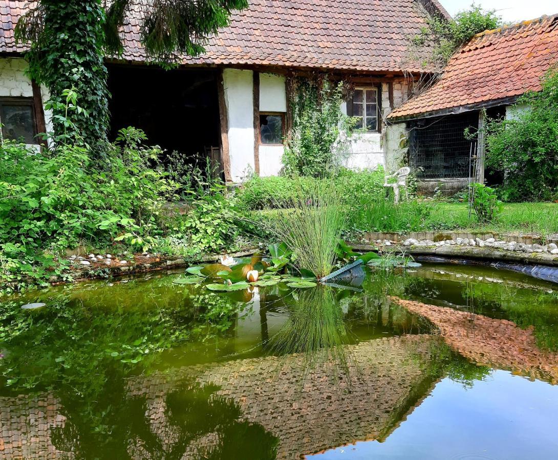 Penzion Le Domaine Des Anges Wavrans-sur-l'Aa Exteriér fotografie