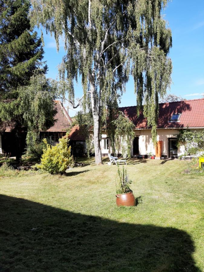 Penzion Le Domaine Des Anges Wavrans-sur-l'Aa Exteriér fotografie
